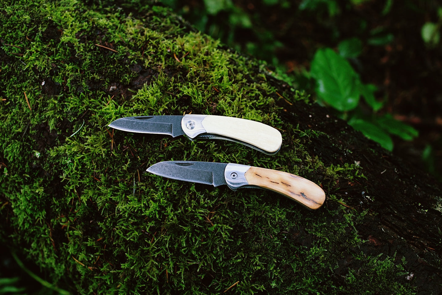 Ursa Black Bear Claw Fossil Ivory Pocket Knife