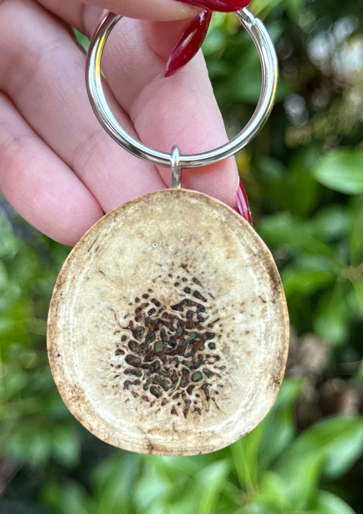 Fossil Walrus Oosik Key Ring