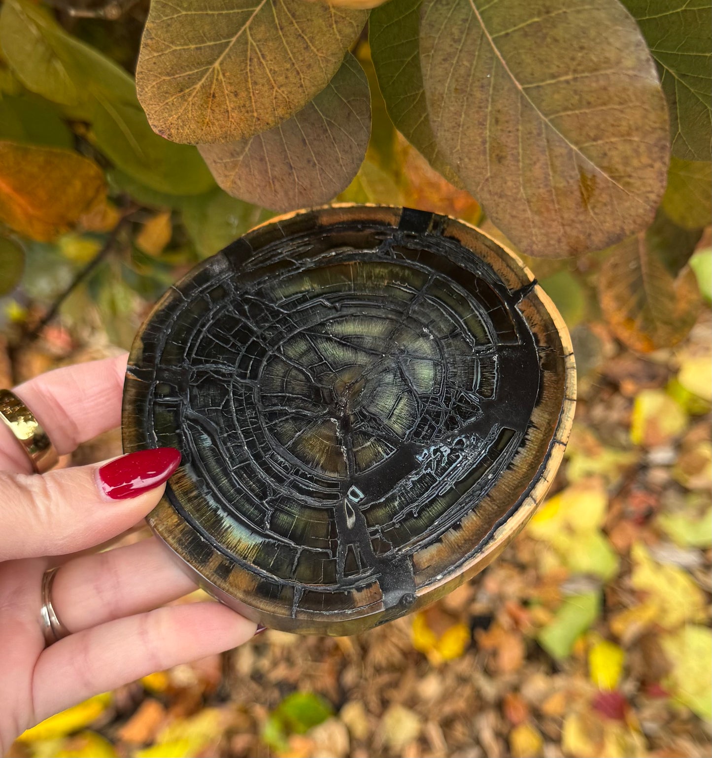Prehistoric Woolly Mammoth Slice