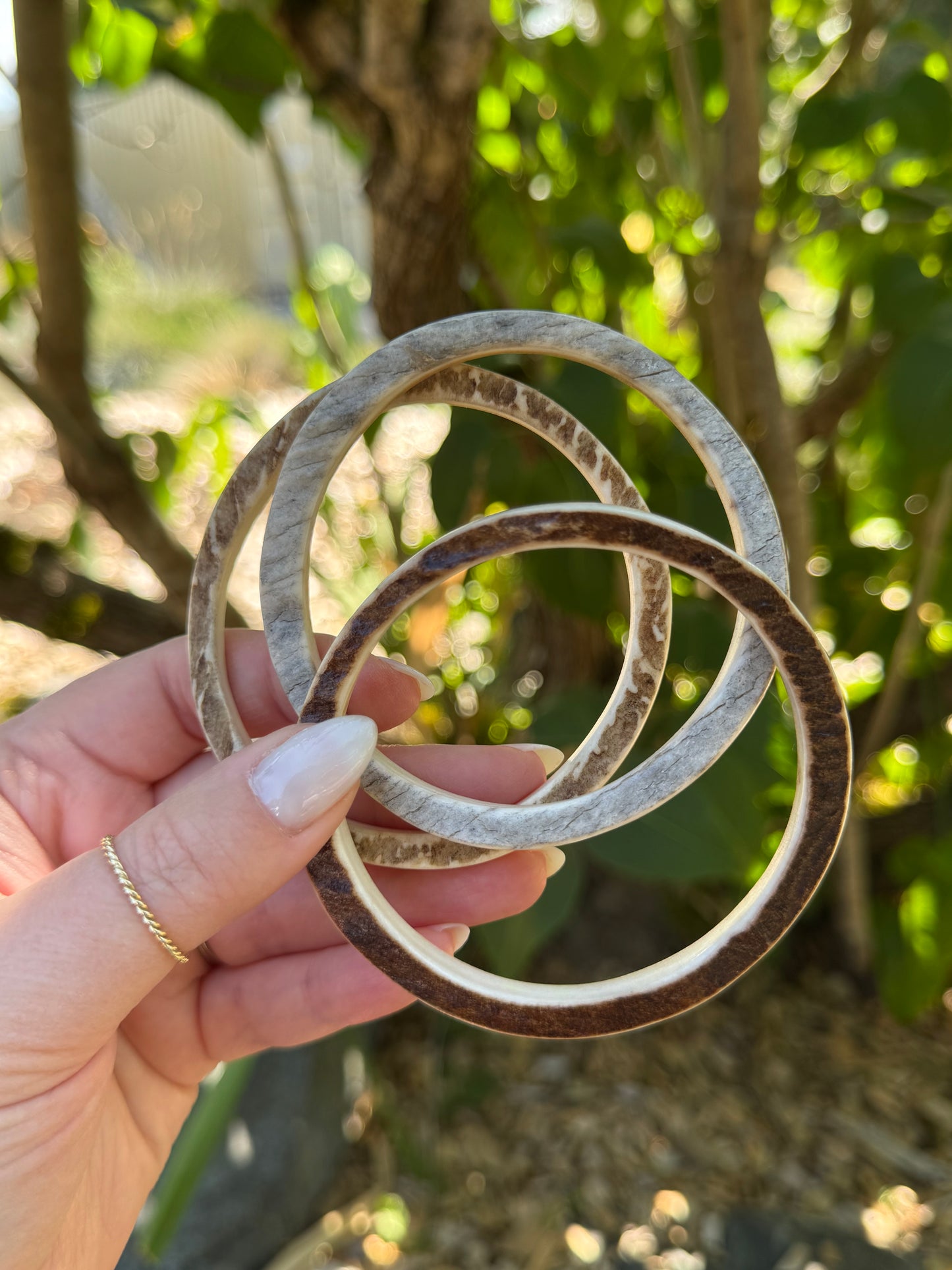 Naturally Shed Moose Antler Palm Bangle