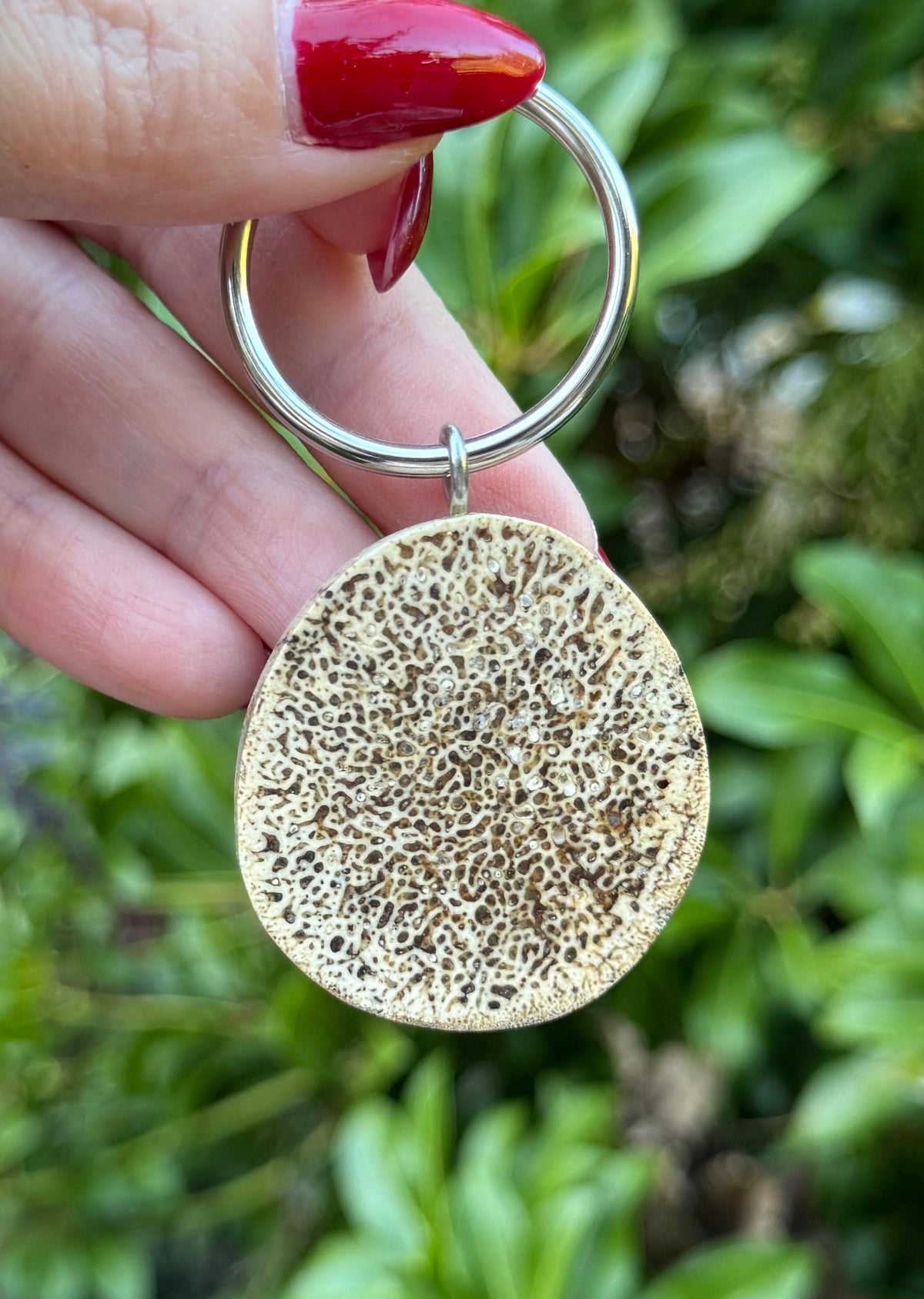 Fossil Walrus Oosik Key Ring