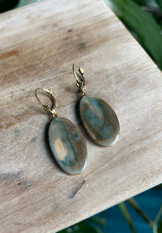 Blue Mammoth + 14kt Gold Oval Earrings