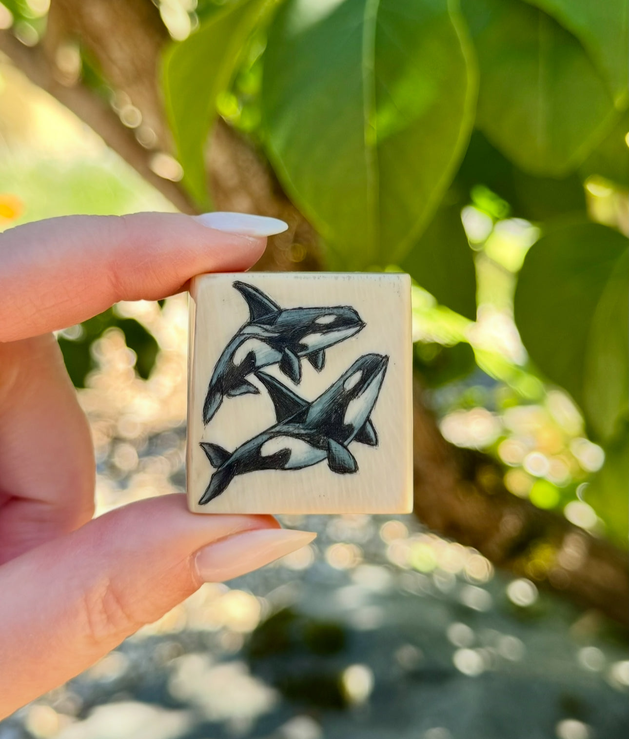Mammoth Ivory Scrimshaw Tile