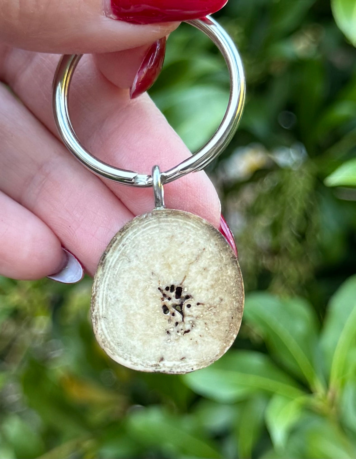 Fossil Walrus Oosik Key Ring