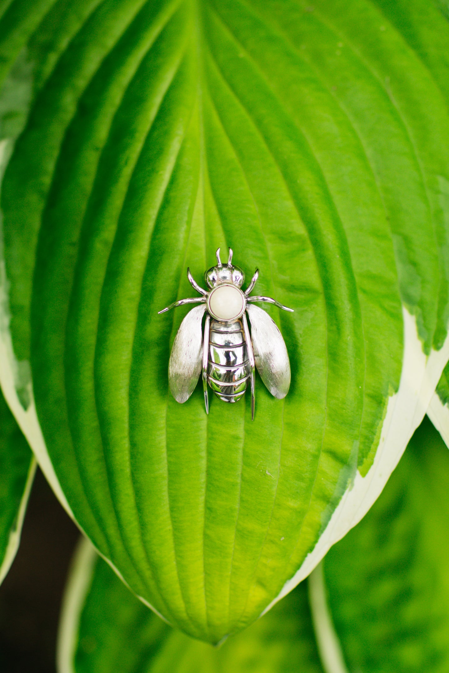 Bee Pin/ Pendant