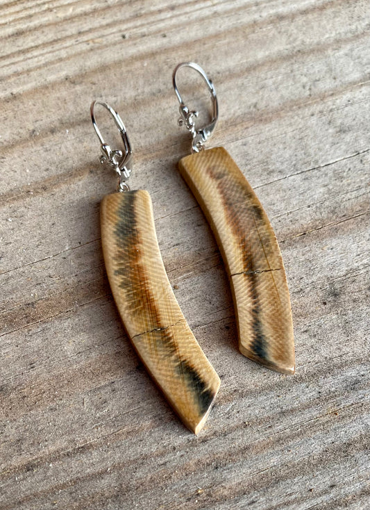 Blue Natural Tusk Earrings