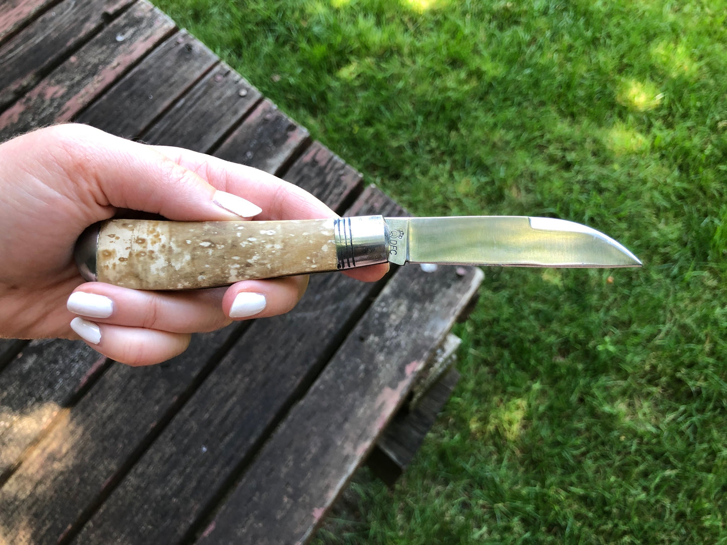 Schatt & Morgan Mammoth Ivory Pocket Knife