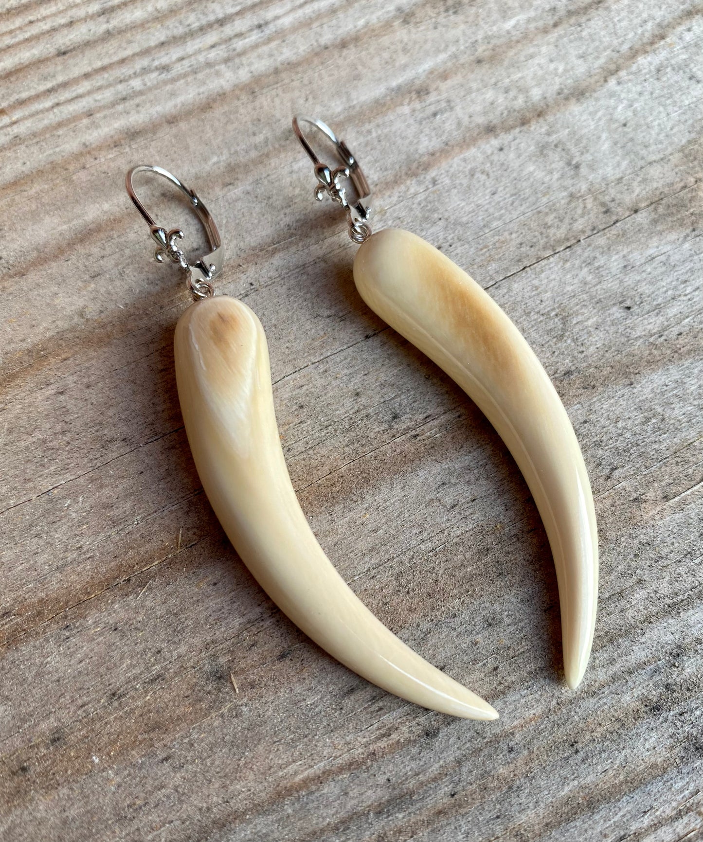 Mammoth Tusk Horn Earrings