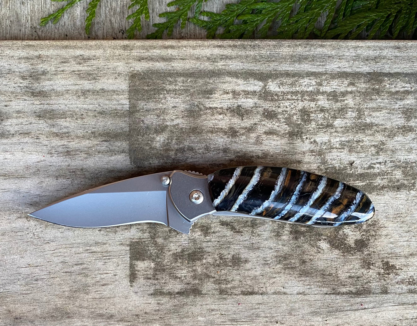 Kershaw Scallion Mammoth Tooth Pocket Knife