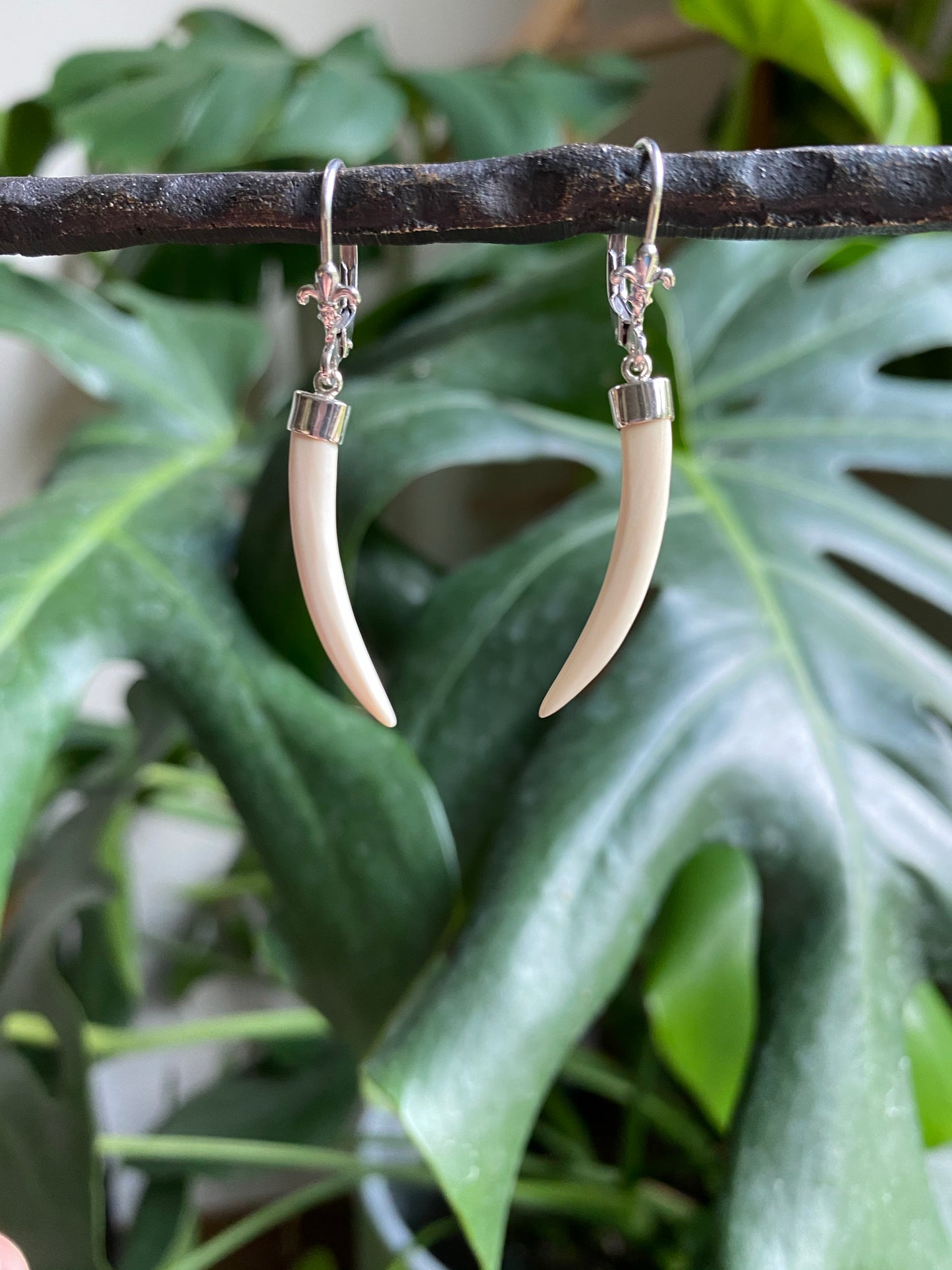 Small Tusk Earrings