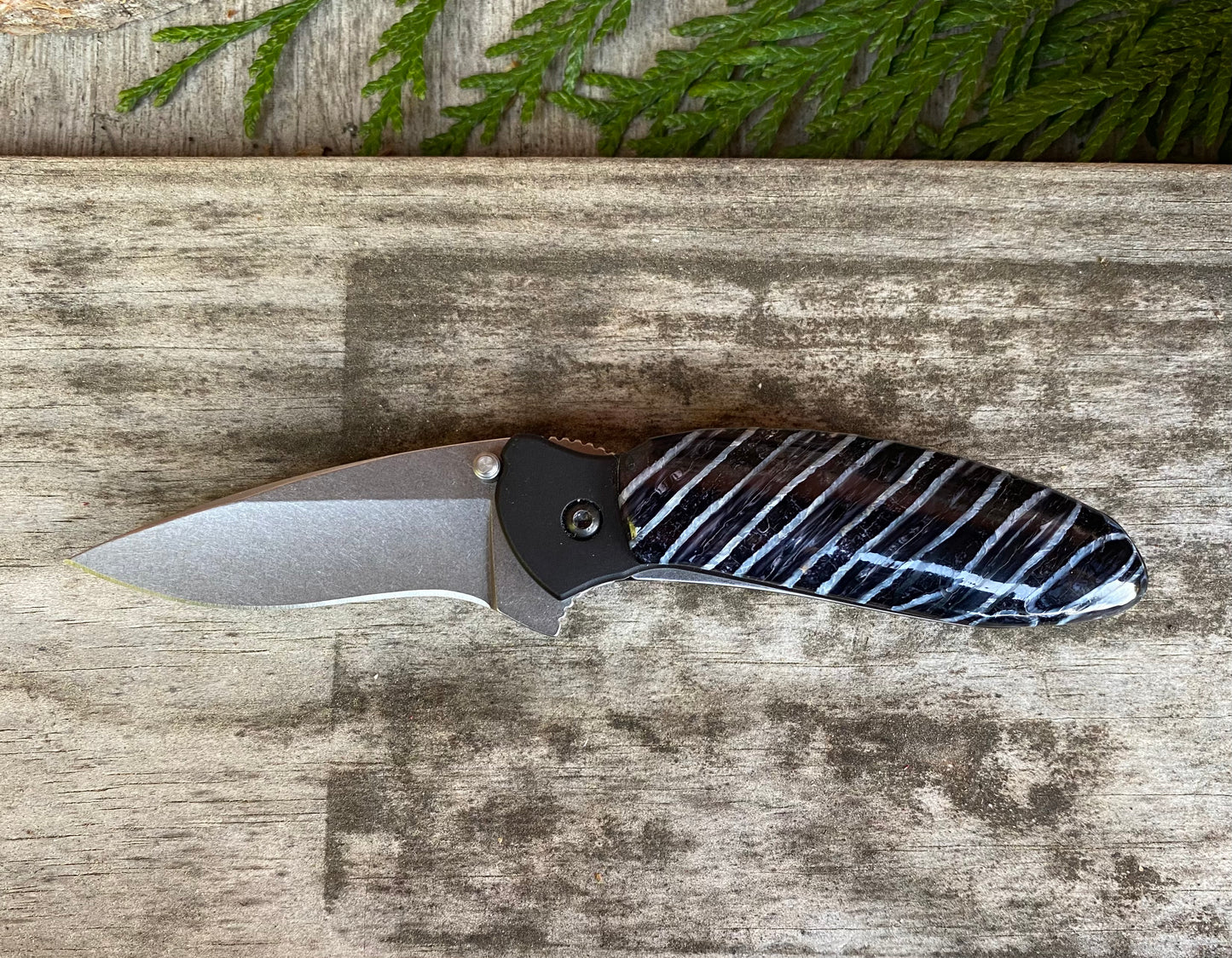 Kershaw Scallion Mammoth Tooth Black Accent Pocket Knife