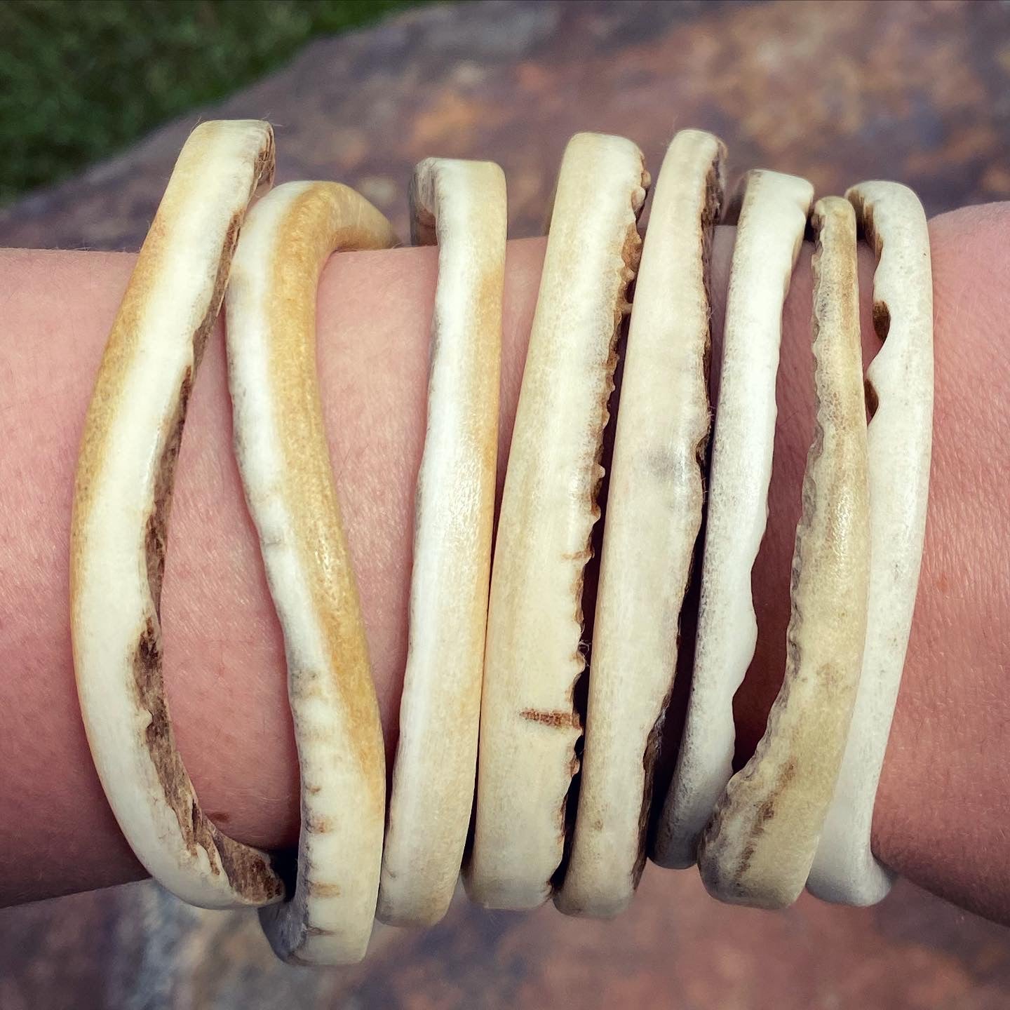 Naturally Shed Moose Antler Palm Bangle