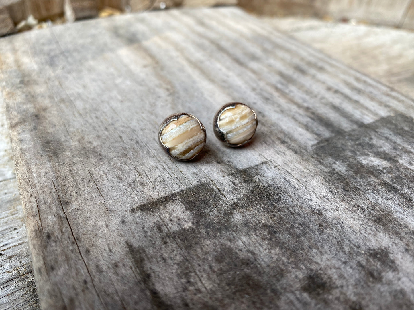 Mammoth Tooth Earrings