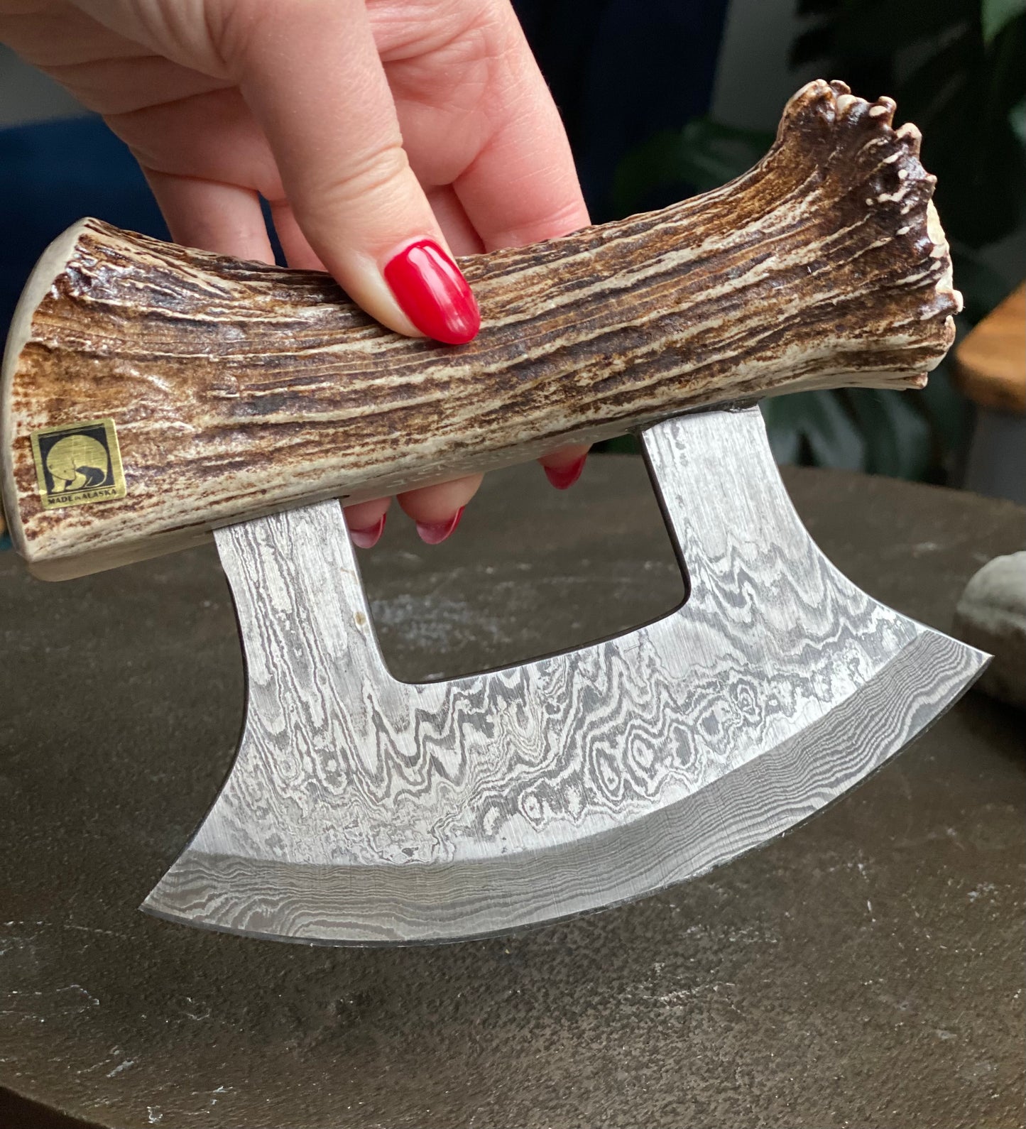 Moose Antler Damascus Blade Ulu