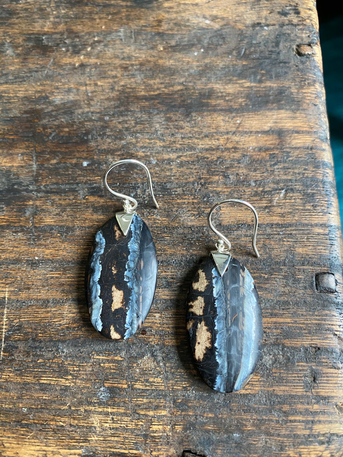 Mammoth Tooth Oval Spike Earrings