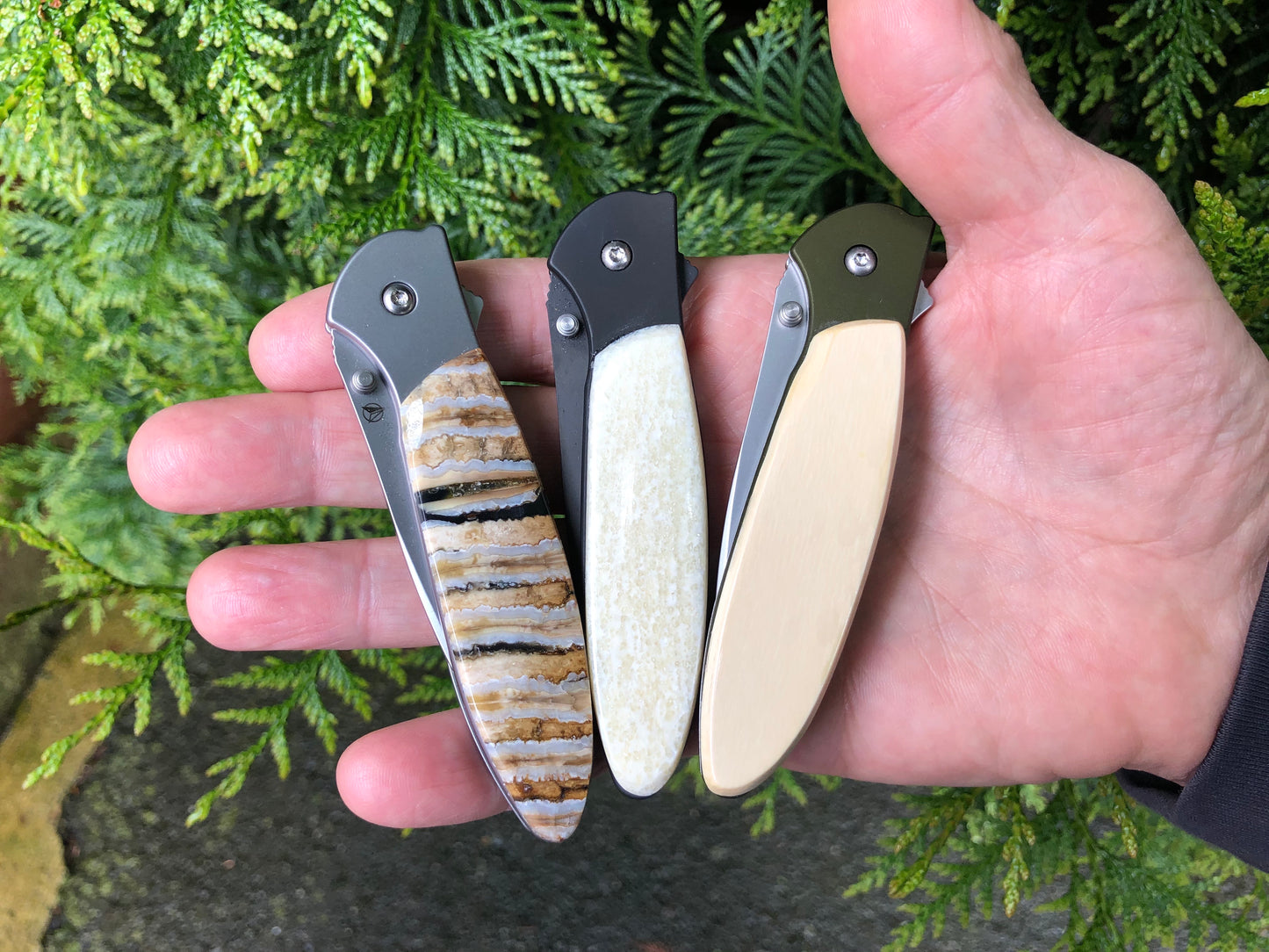 Kershaw Fossil Walrus Ivory DLC Pocket Knife