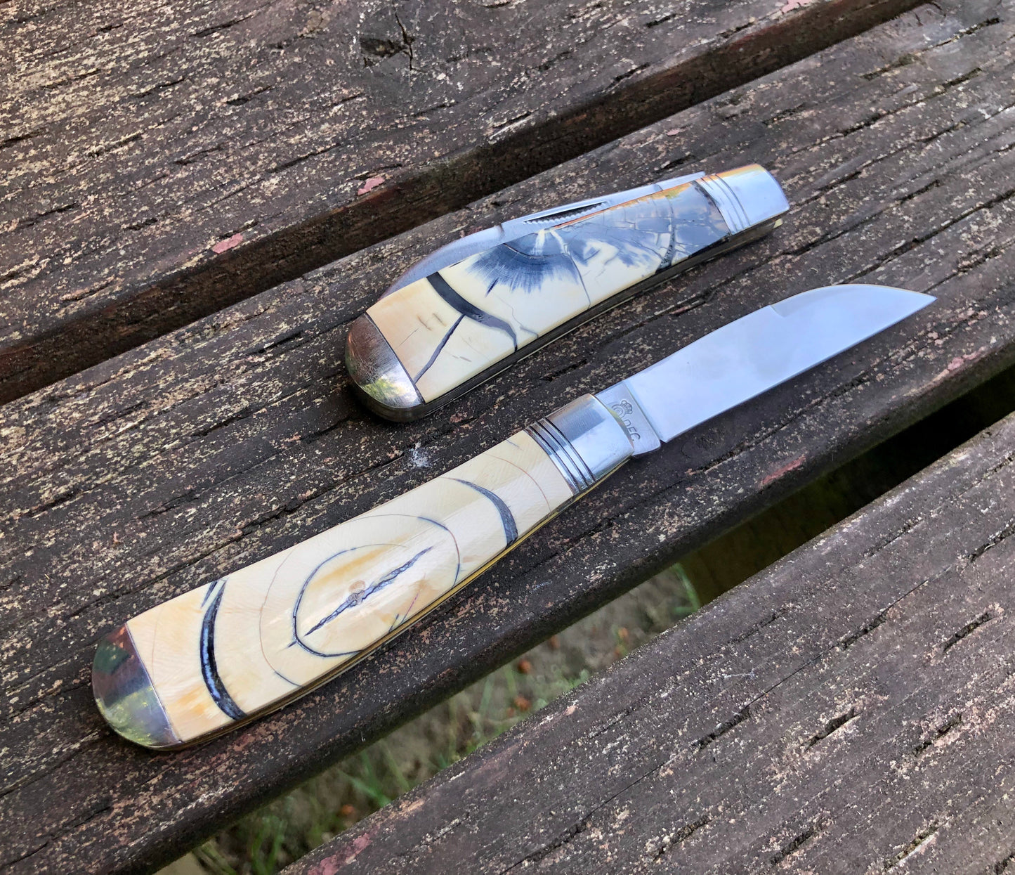 Schatt & Morgan Mammoth Ivory Cross Cut Pocket Knife