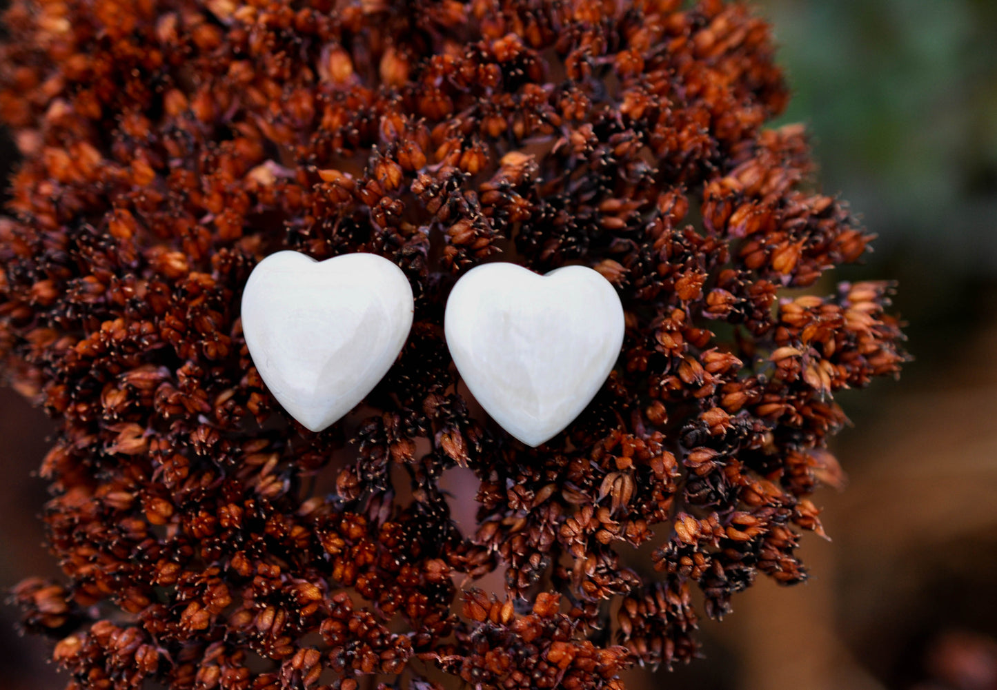 Puffed Heart Earrings