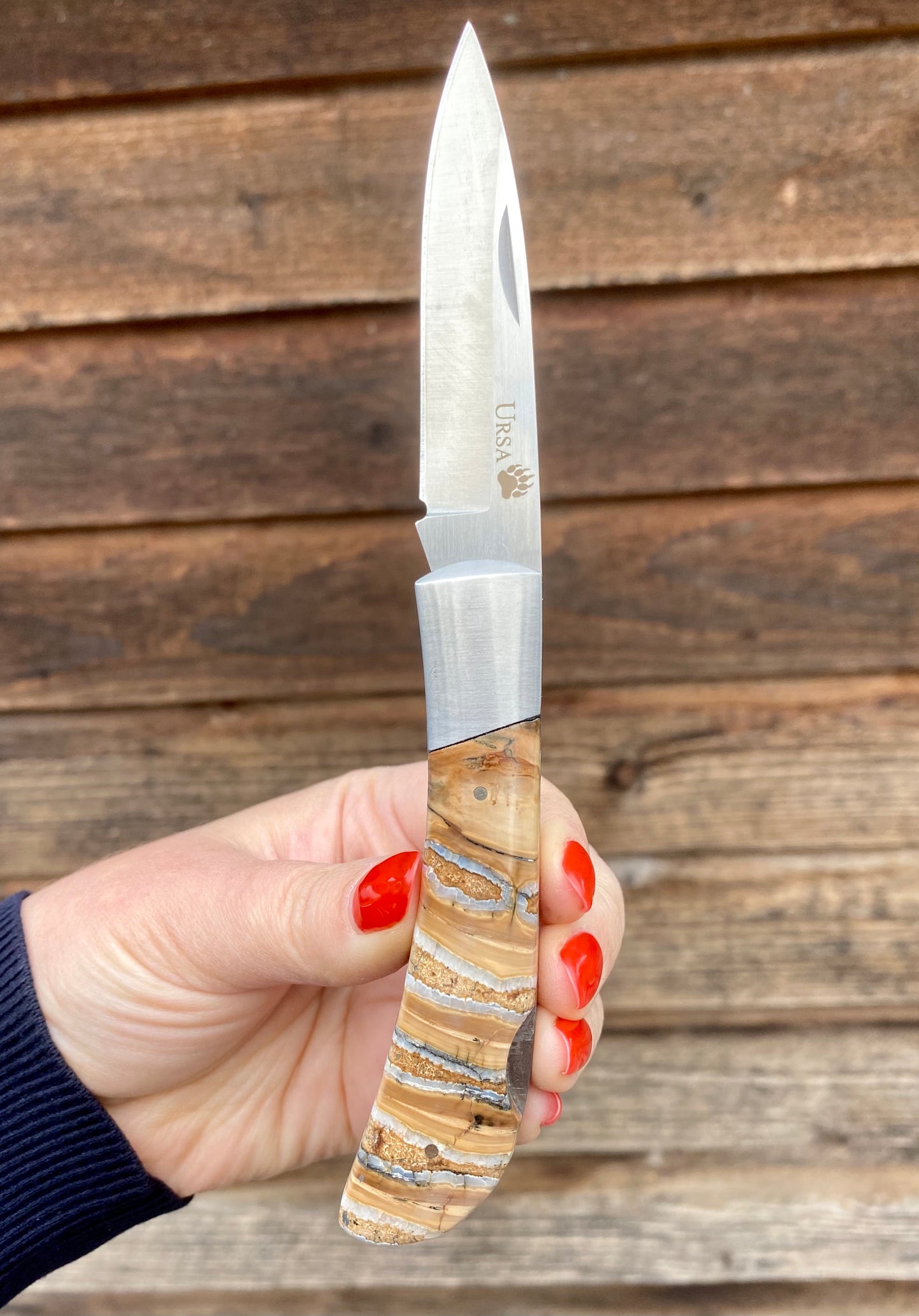 Ursa Mammoth Tooth Pocket Knife