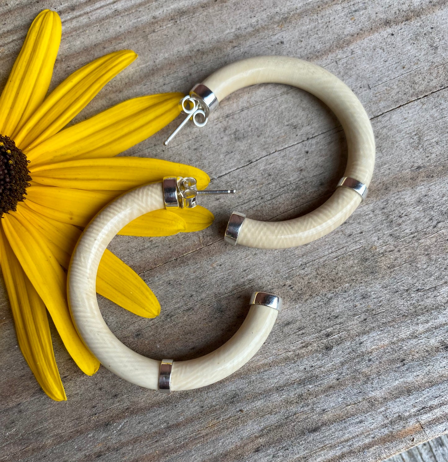 Mammoth Ivory Hoops