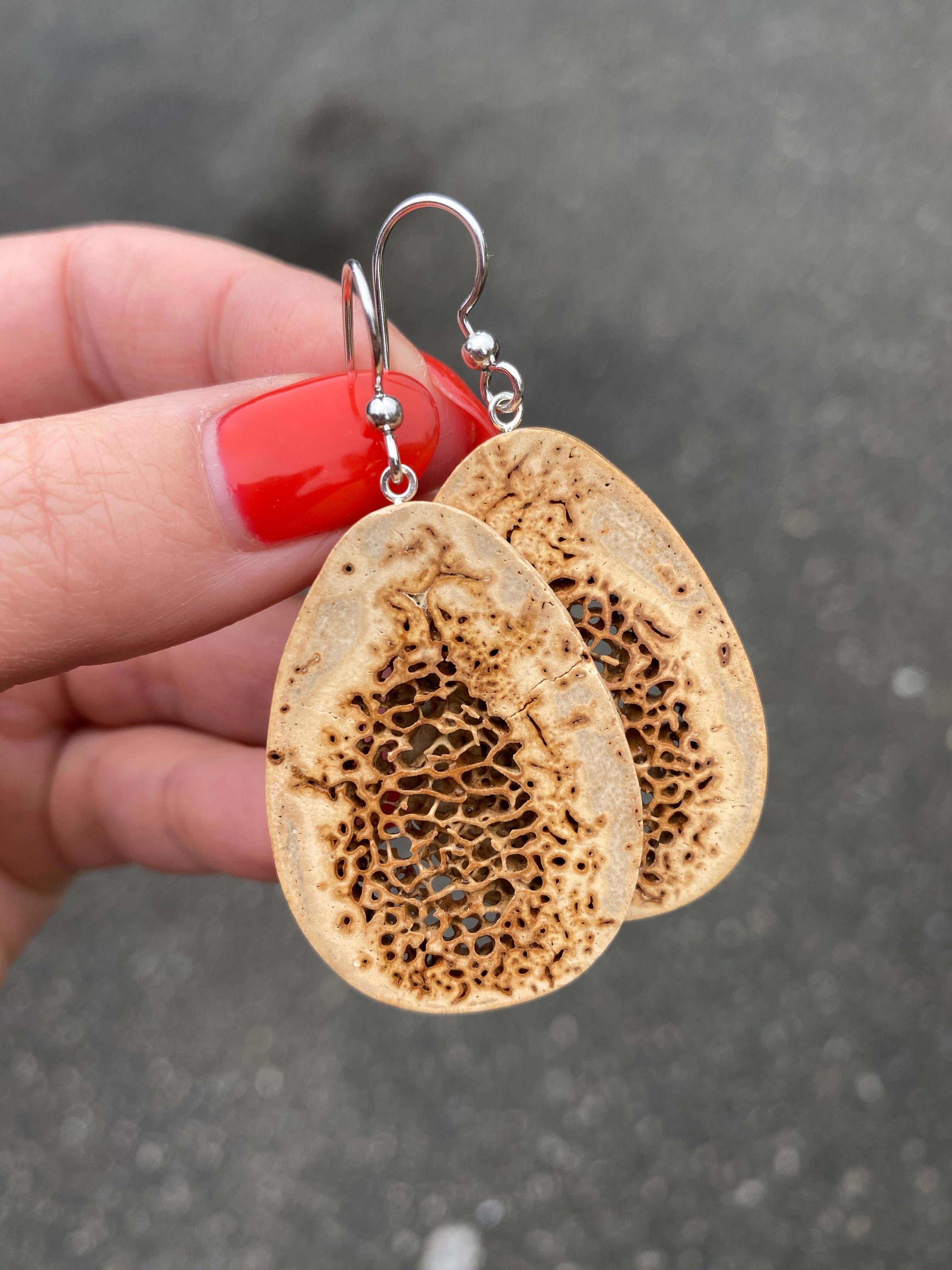 Fossil Walrus Oosik Earrings Ivory Jacks