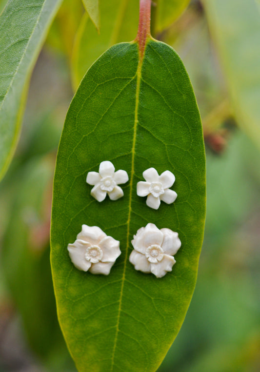 Forget Me Not Earrings