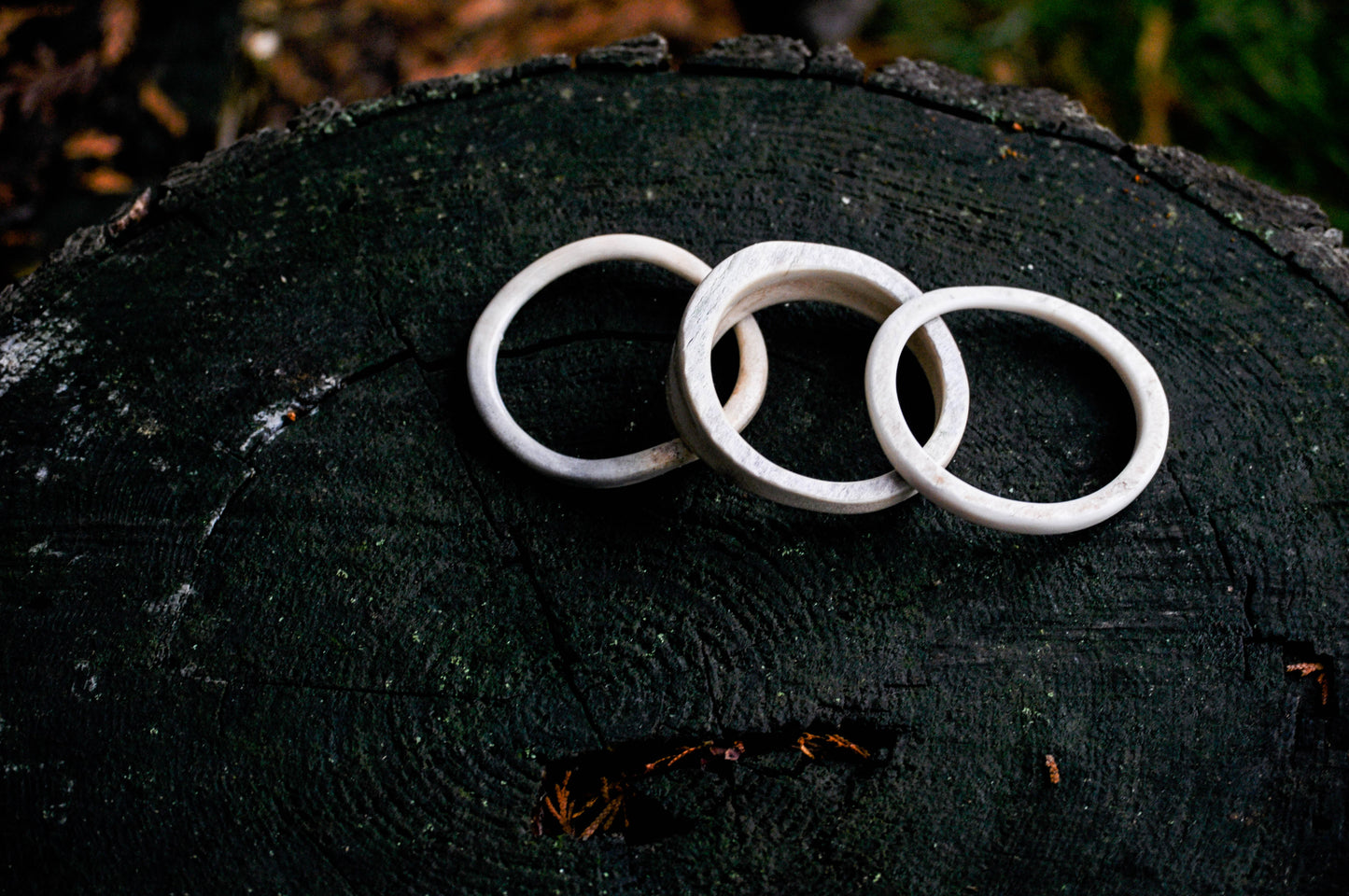 Naturally Shed Moose Antler Palm Bangle