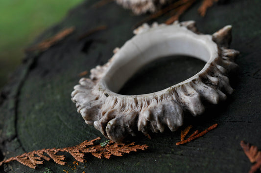 Naturally Shed Moose Antler Crown Bangle