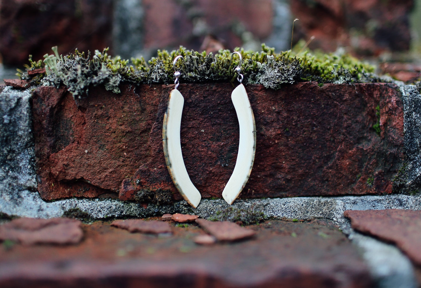 Natural Tusk Earrings